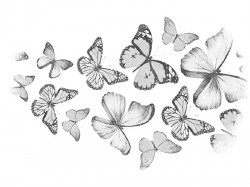 Бабочки-мысли