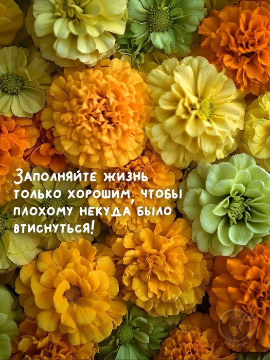 Мы говорим