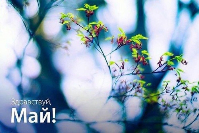 Здравствуй, май