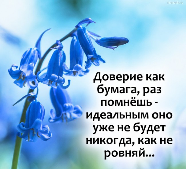 Доверие