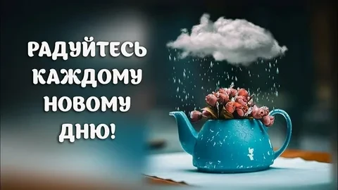 Каждый день наполнен новизной
