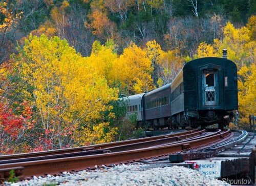Ушёл последний поезд в осень