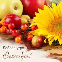 Надежды сентября