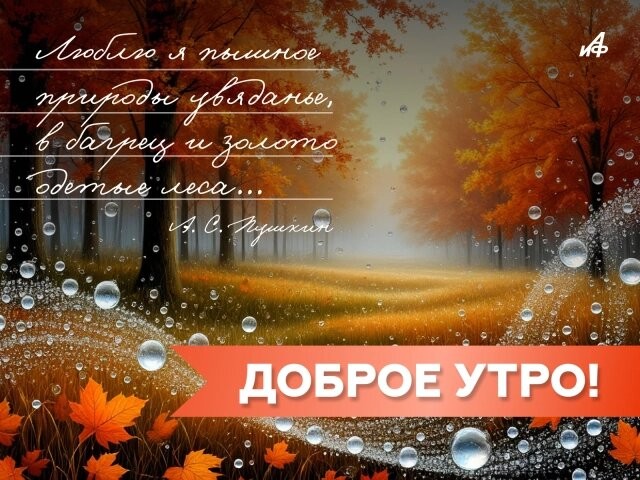 Капельки росы