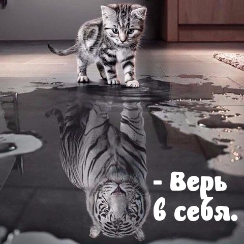 Поверь