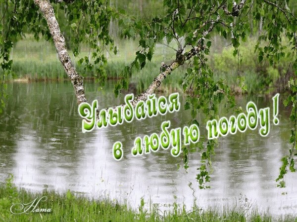 Целый день упрямый дождь