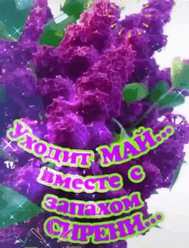 Сияет радуга в душе
