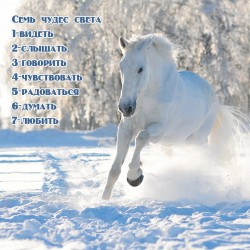 Вся наша жизнь