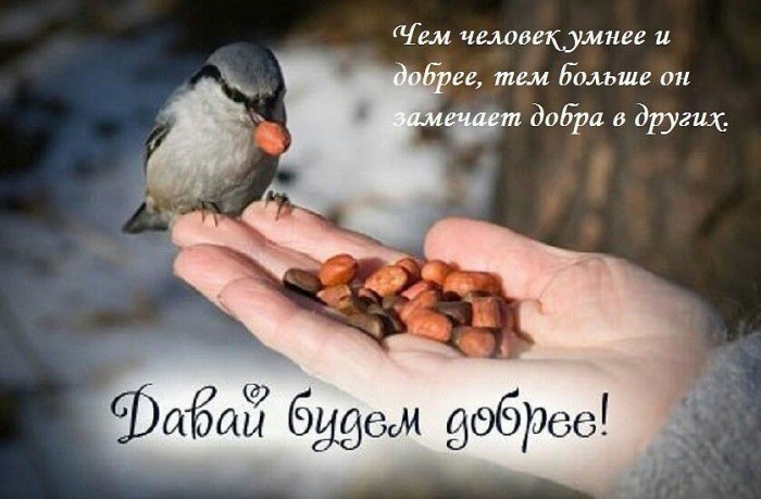 Доброта человека