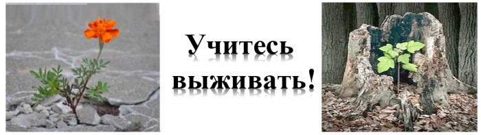 Мы научились