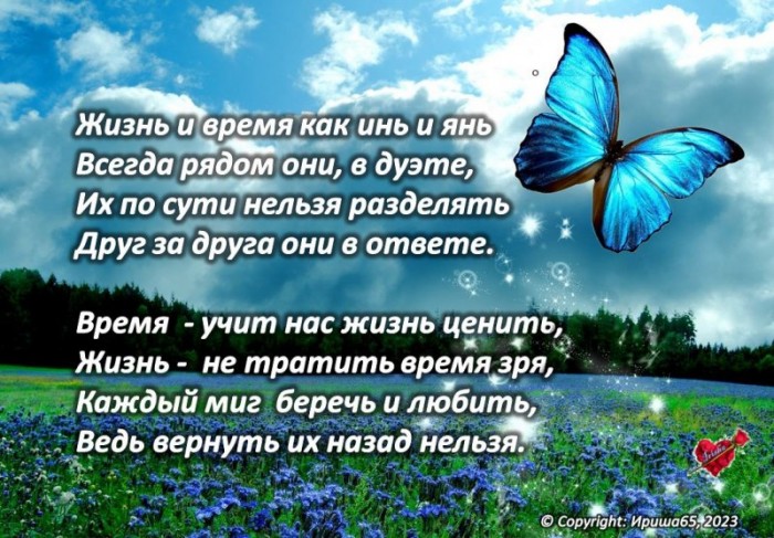 Соревнуются стрелки часов