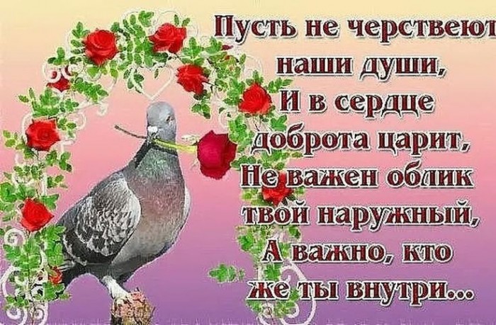 Пусть не черствеет душа