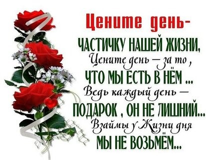 В жизни много забот