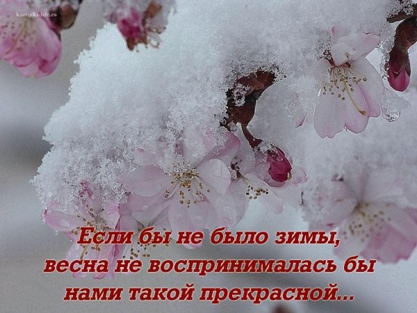 За февралём весна приходит