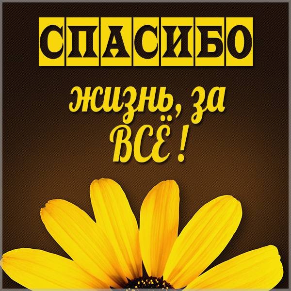 Спасибо, жизнь