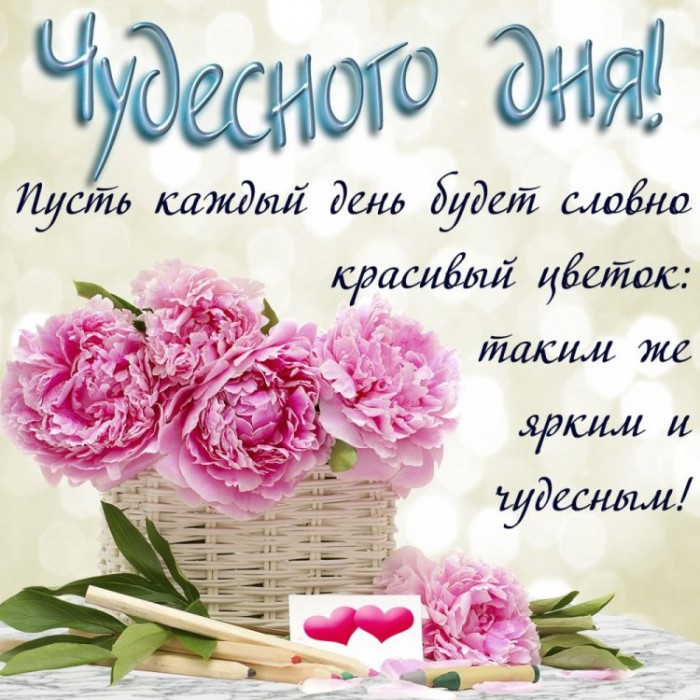 Красота каждого дня