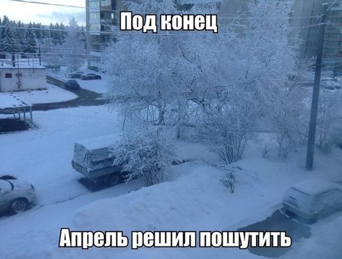 В апреле выпал снег