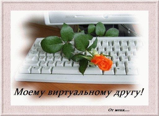 В виртуальном мире