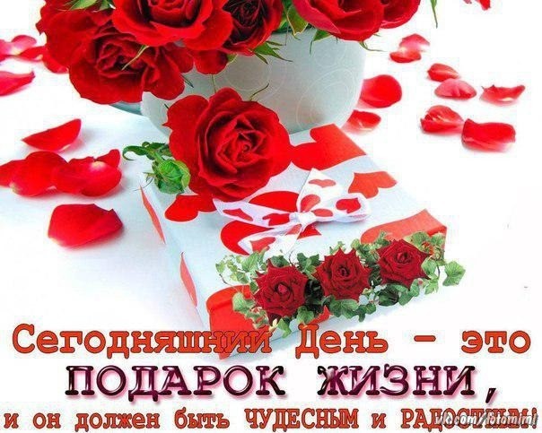 Жизнь
