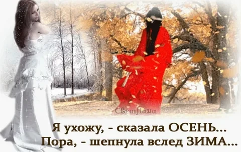Сбросила наряды осень
