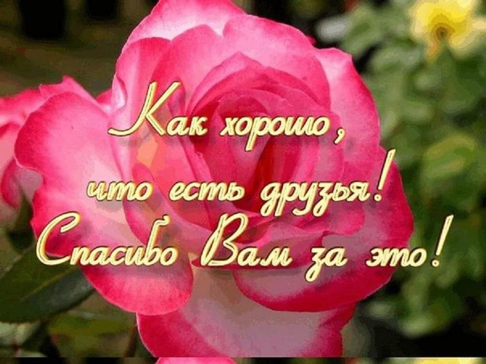 Спасибо всем