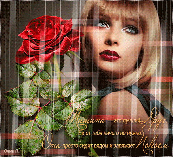 В тишине