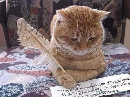 На деревню бабушке