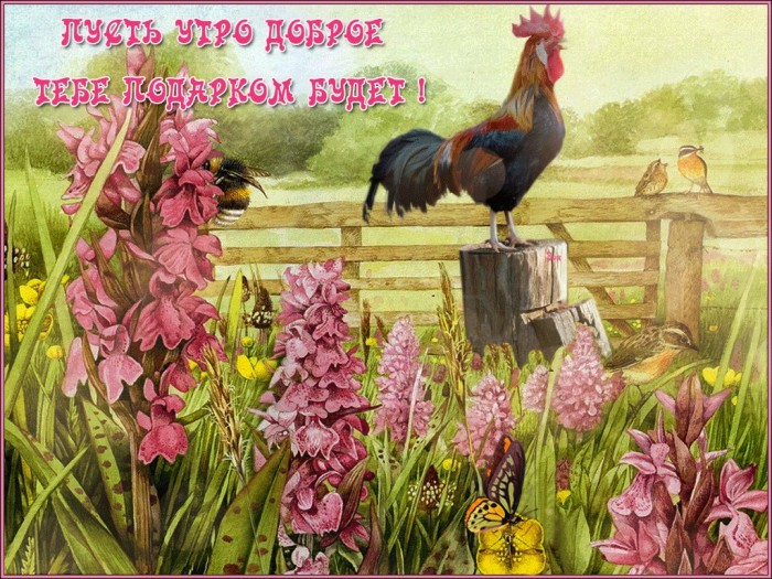 Утренняя деревня