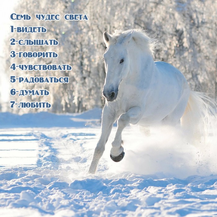 Вся наша жизнь