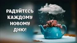 Каждый день наполнен новизной