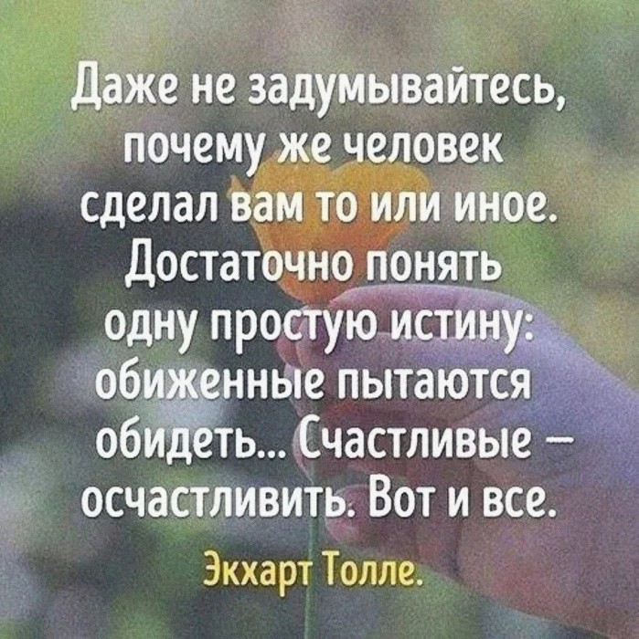 Если вас укусила пчела