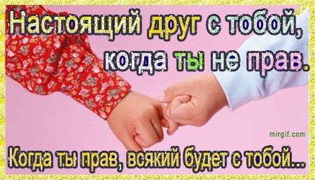 О дружбе