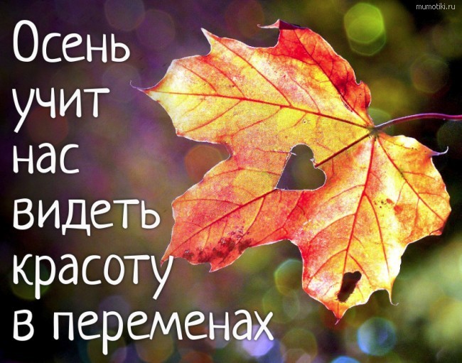И в душе бывает осень