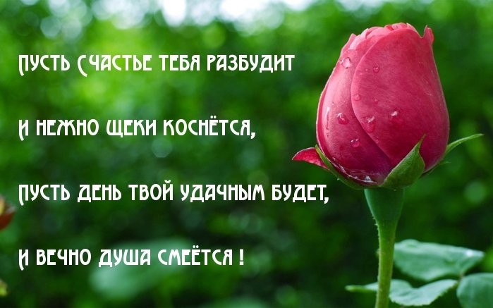 Коснусь твоей щеки