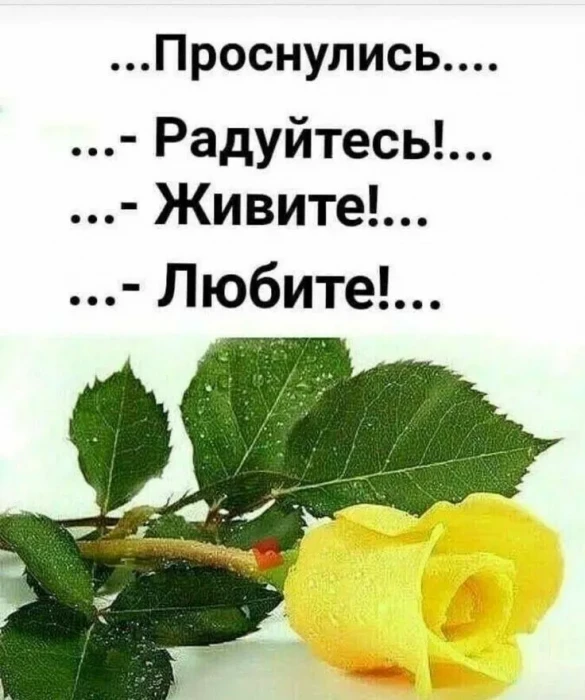 Радуйся новому дню