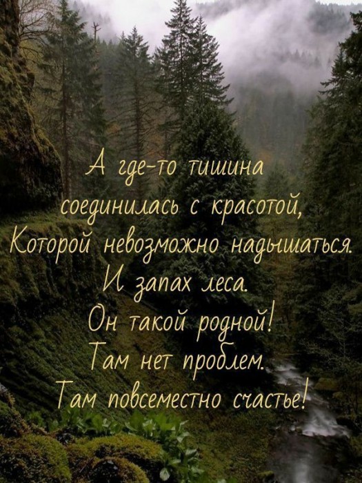 У тишины особый запах