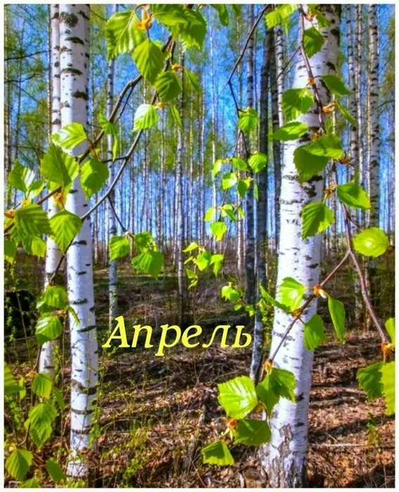Пришёл апрель