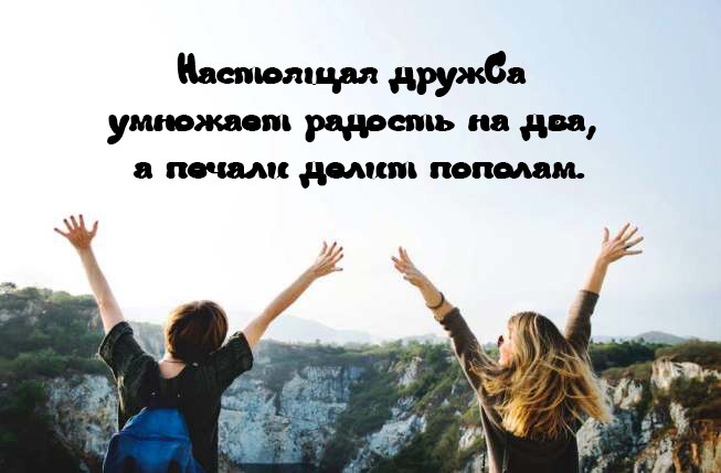 Друганы высшей марки