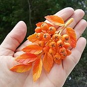 В ладошки падает листок