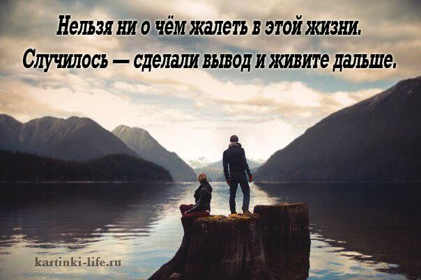Жалеть бесполезно