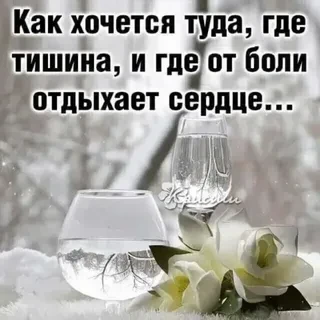 Мои мечты