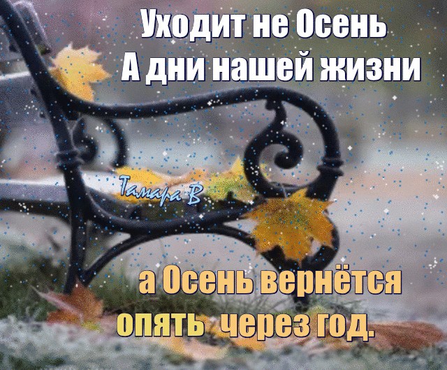 Год прошел хорошо. С последним днем осени. С последним днём осениии. С поледнний днем осени. С добрым последним днем осени.