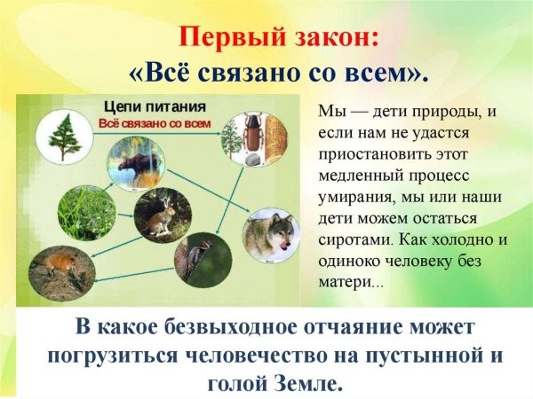 Закон природы