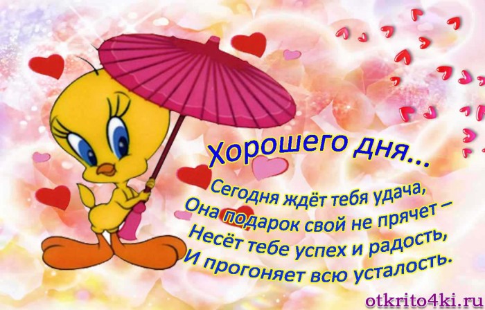 Сегодня