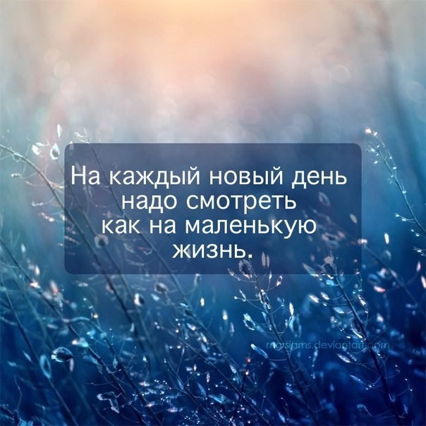 Новая страница