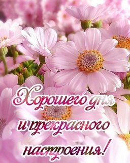 Всякое в жизни бывает