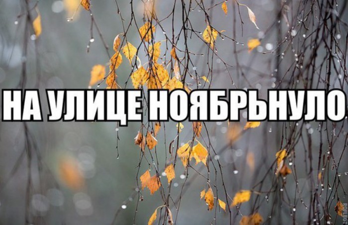 Ноябрь