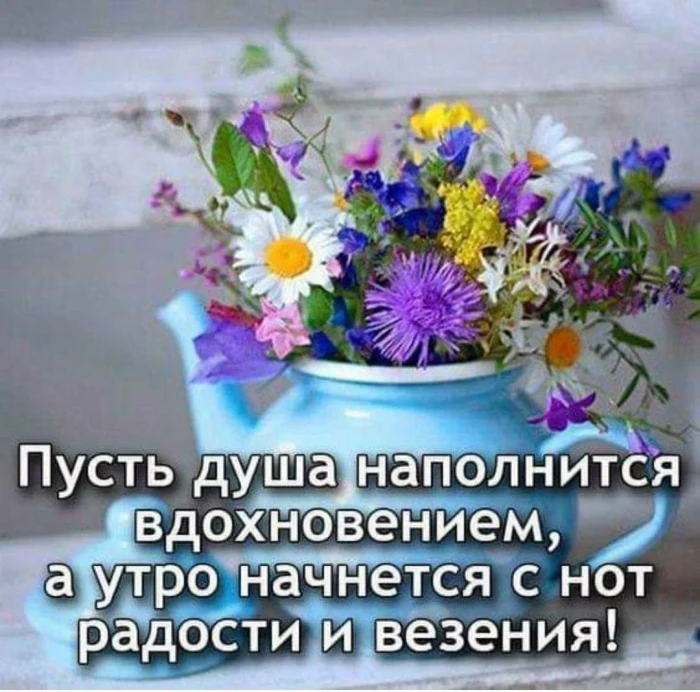 Душа всё чувствует