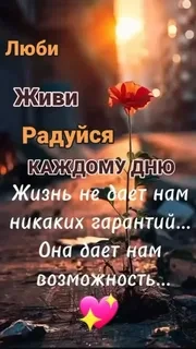 Остановись