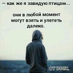 Я завидую птицам